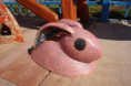 /products/eva-trbuskova-kralik-ruzovy-original/